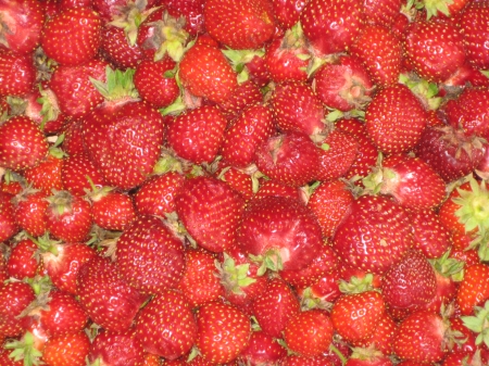 Strawberries IMG_0632