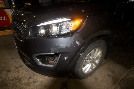 rental car hit deer ND IMG_3698 (1)